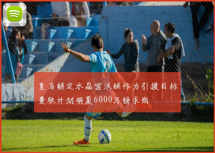 皇马锁定水晶宫沃顿作为引援目标曼联计划明夏6000万镑求购