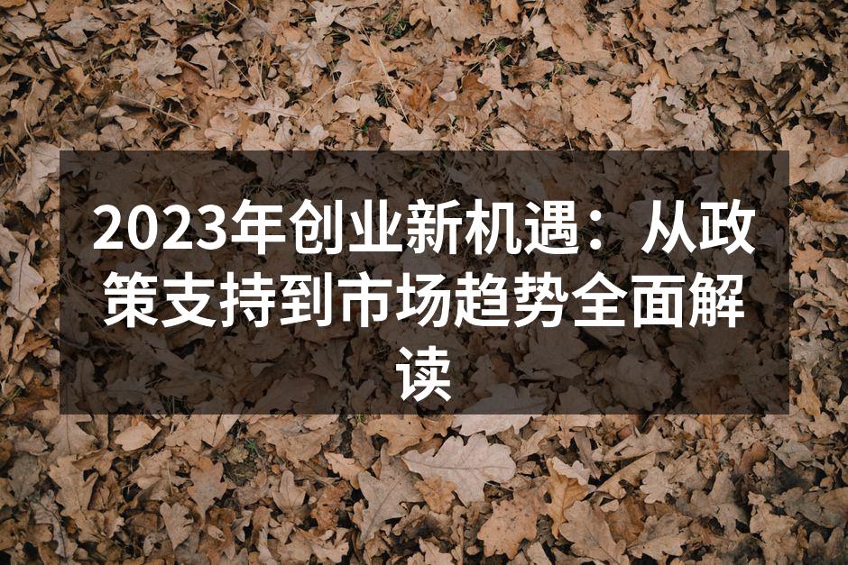 2023年创业新机遇：从政策支持到市场趋势全面解读