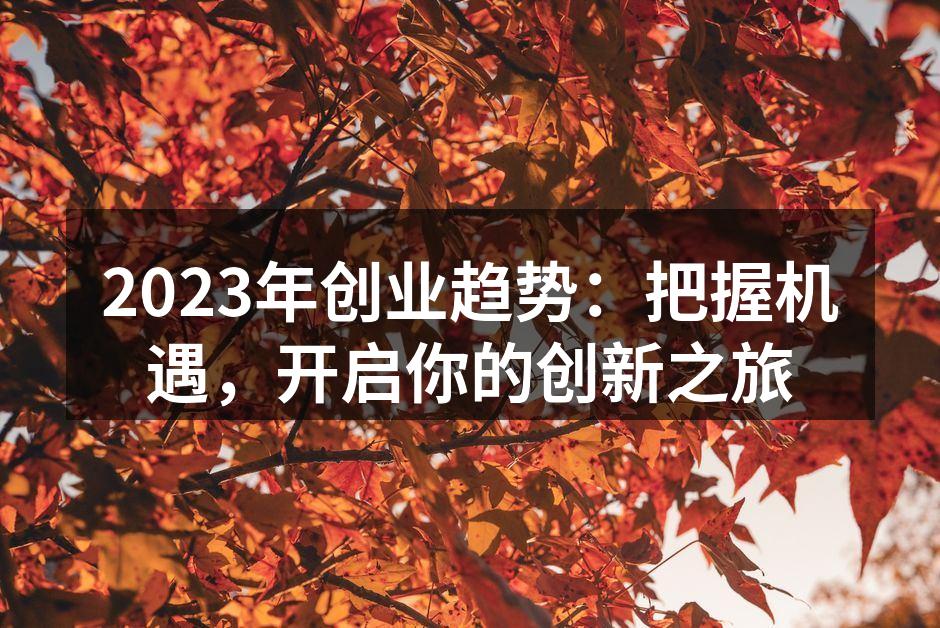 2023年创业趋势：把握机遇，开启你的创新之旅